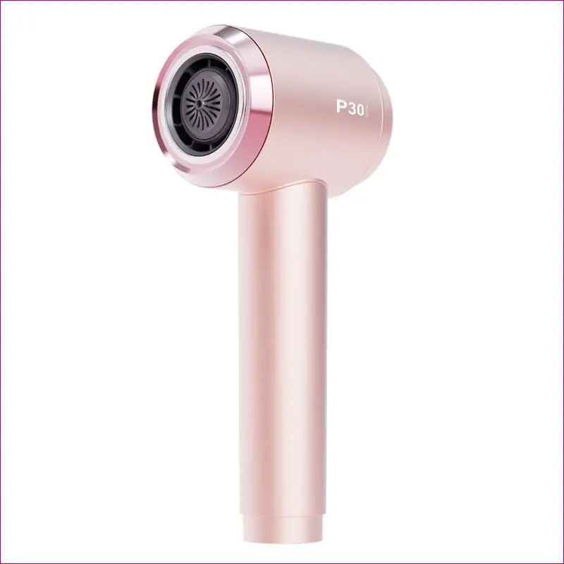 Professional Thermostatic Portable Blow Dryer